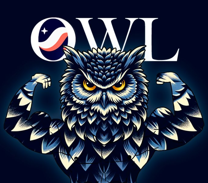 Starknet Owl flexing, midnight-blue feathers and golden eyes